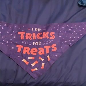 Dog Halloween Bandana